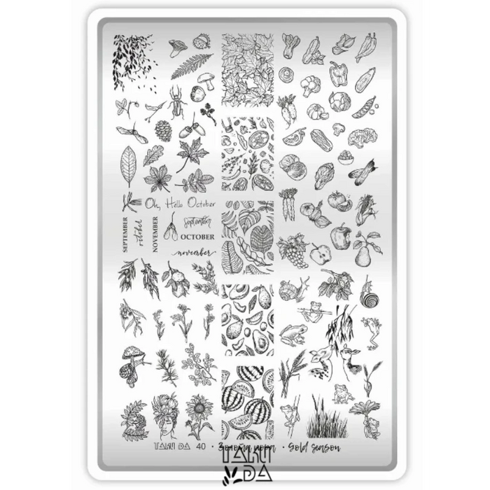 DEMO Taki Da 40 GOLDSEASON  – Große Platte mit DEMO-BLATT