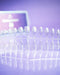 PROFESSIONAL NAIL GEL TIPS "DNKa", OVAL 240pcs - Ivaka Store