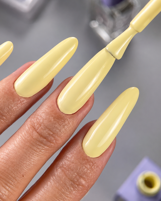 COLOR GEL POLISH "DNKa", 12 ml #0070