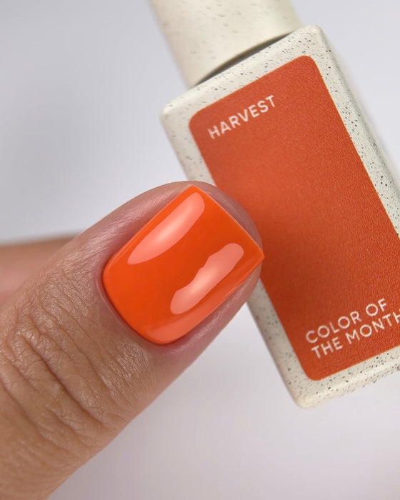 NAILSOFTHEDAY Колір місяця березень 2025 Samba, 10 мл