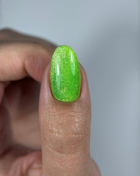 COLOR GEL POLISH CAT`S EYE "DNKa", 12 ml #0007 80`s