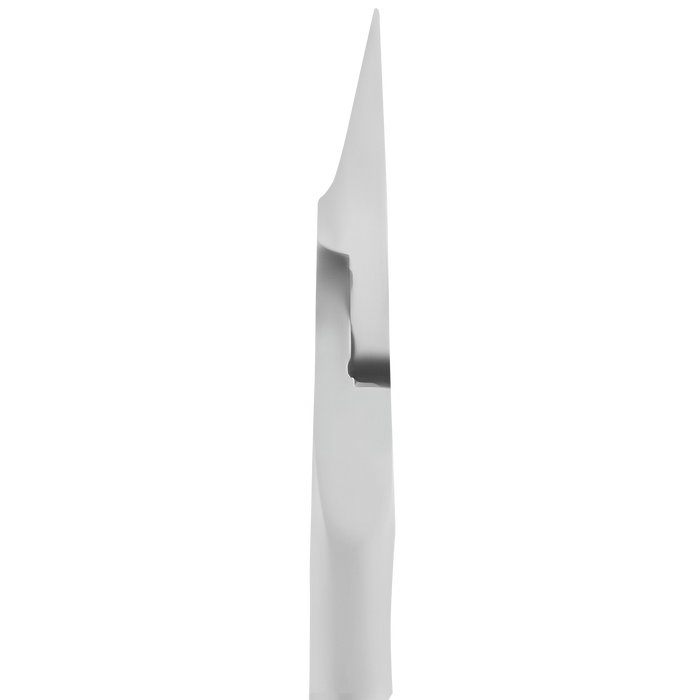 Professionelle Fußnagelzange für eingewachsene Nägel STALEKS Expert NE-61-12, Edelstahl, Klingenlänge 12 mm - Ivaka Store