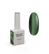 Gel Polish NAILSOFTHEDAY Korean cat eye 17, 10 ml
