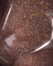 NAILSOFTHEDAY Polygel shimmer 06, 30 g - Ivaka Store