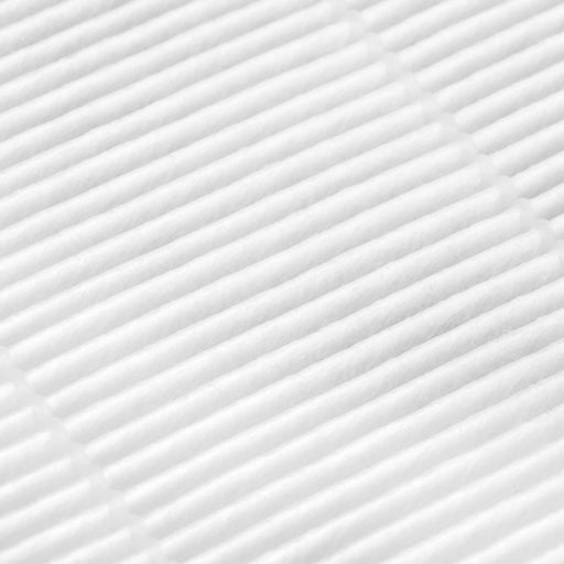 Hepa-Filter für Saeyang Staubabsorber Marathon Olimp 65W - Ivaka Store