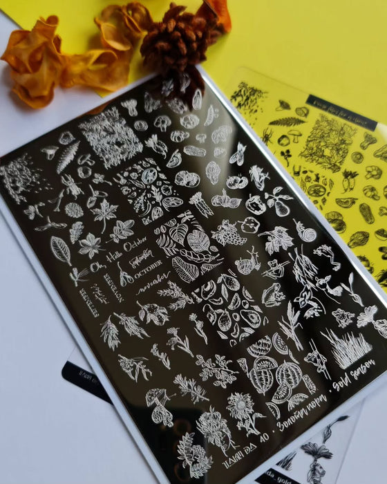 DEMO Taki Da 40 GOLDSEASON  – Große Platte mit DEMO-BLATT