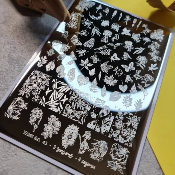 DEMO Taki Da 43 3 SEASONS  – Große Platte mit DEMO-BLATT